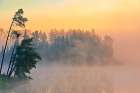Canada-Ontario-Kenora Fog at sunrise on Isabel Lake Art Print